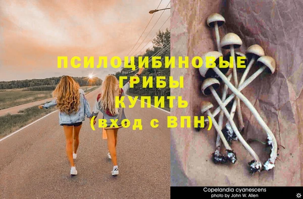 соль курить ск Арсеньев