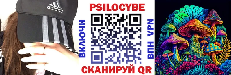 Псилоцибиновые грибы Cubensis  mega как войти  Нязепетровск 
